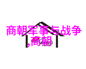 明朝垃圾还是清朝垃圾-历史的断层探索明清两代王朝的留痕与遗憾