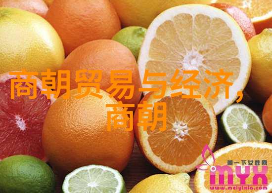 唐朝历史的深度探究揭秘国运兴衰