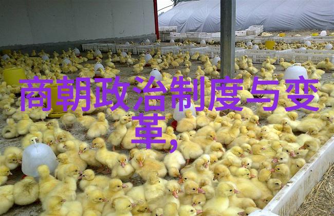 第三届黄梅戏艺术节孟丽君的经济高歌在自然中回响