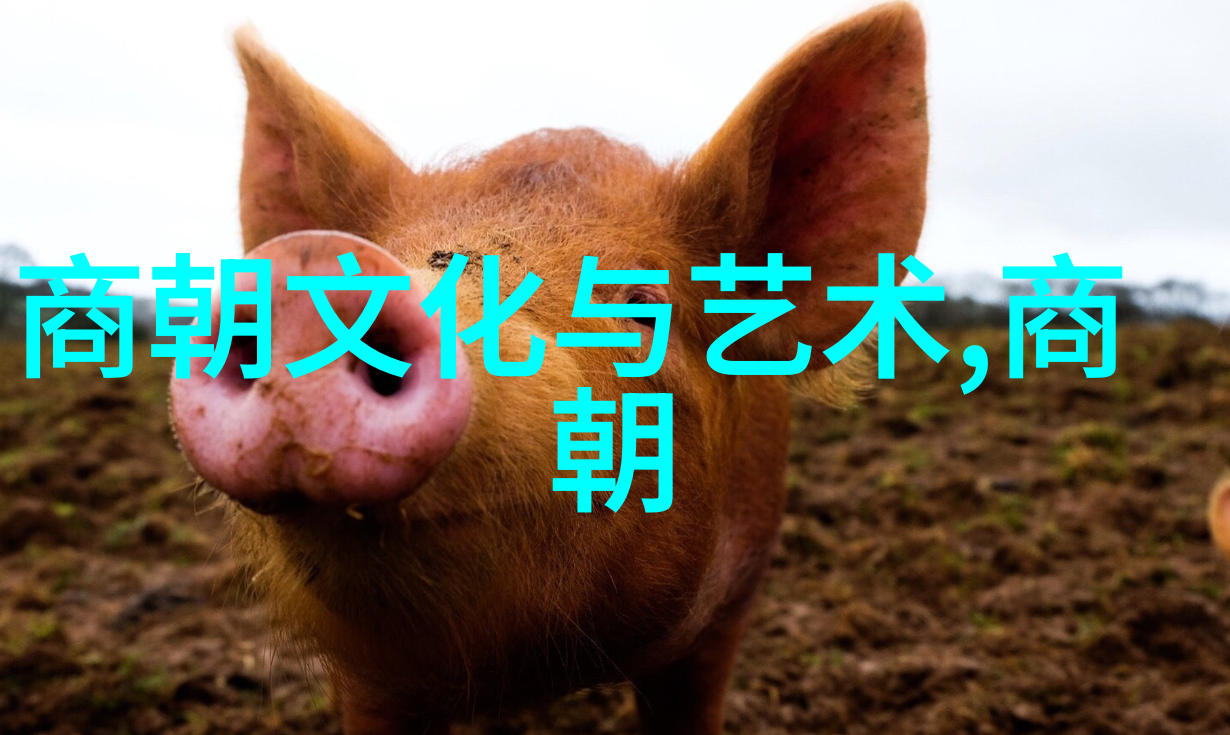 南京建都的历史与影响