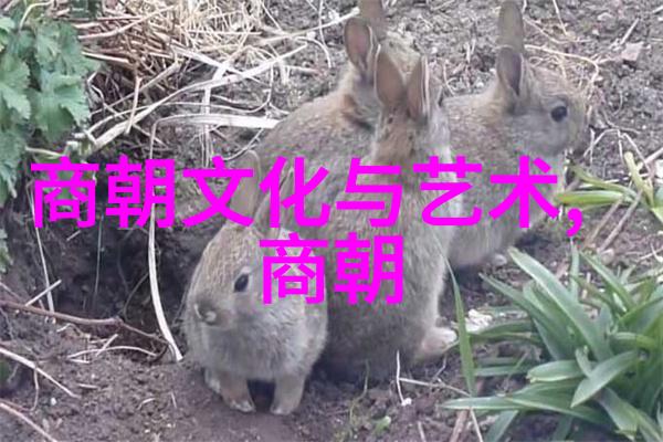 明末余晖南明灭亡后的那些小朝廷与抗日斗争