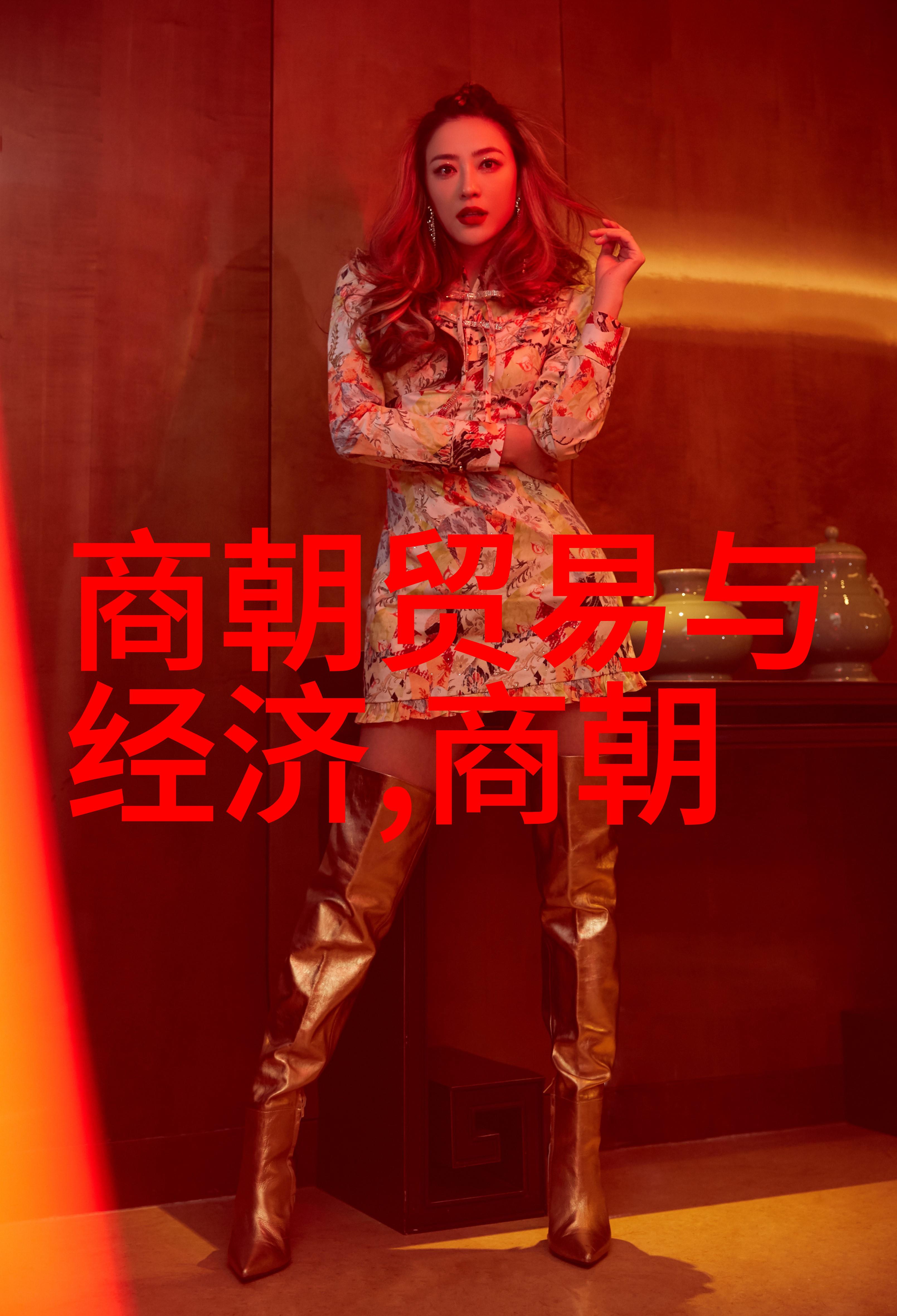 明朝台湾-南京的最后一抹明朝末年台湾的政治与文化