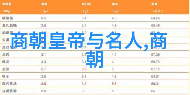 元朝的辉煌与衰落1271-1368年的历史探索