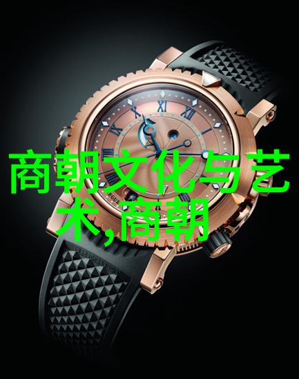 明朝秘密录
