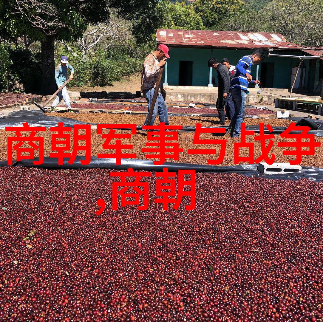 明朝科举制度及其对社会发展的深远影响论述