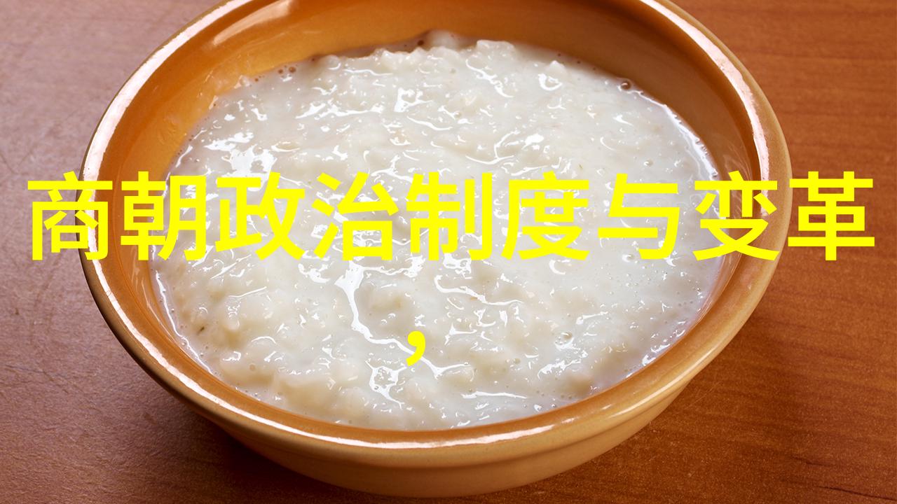 明朝最好的帝王天启之光下的英杰