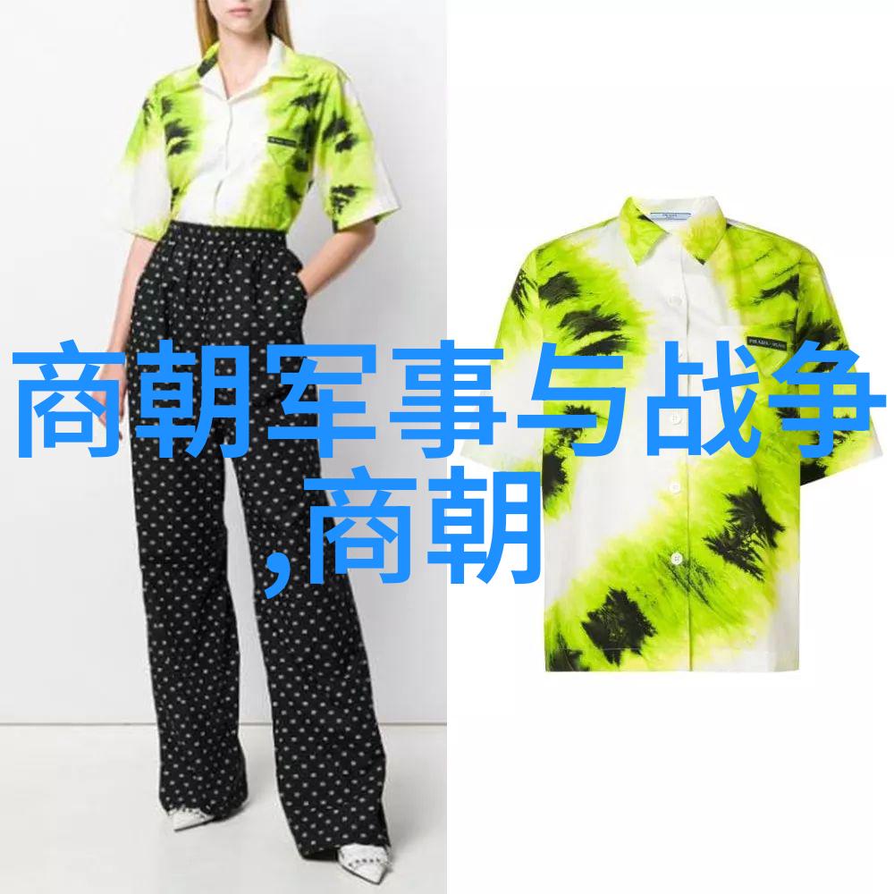 历史争议-元朝是不是外族入侵的后果对蒙古征服中国真相的探究