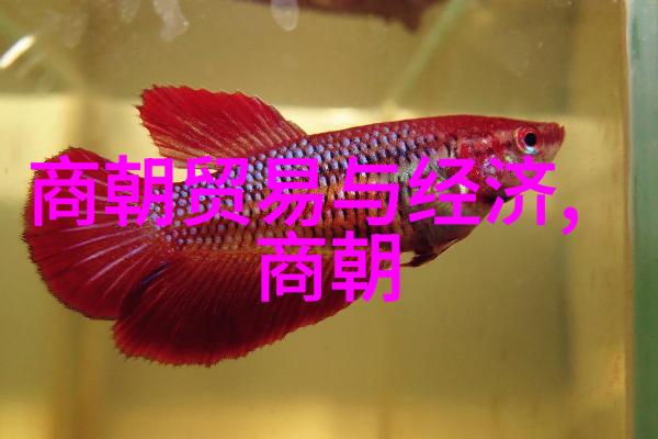 朱家溍京剧票友与后四小名旦的幽默探索