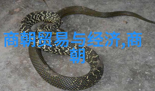 探秘清朝的辉煌与衰落时间简史