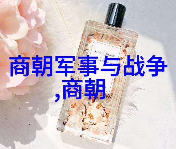 中国朝代年份我来告诉你从秦朝到清朝的所有年份
