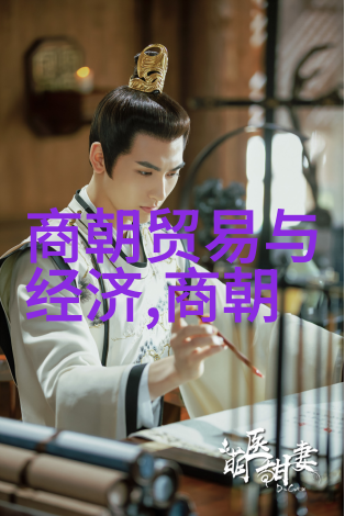 元代医学成就与药材研究