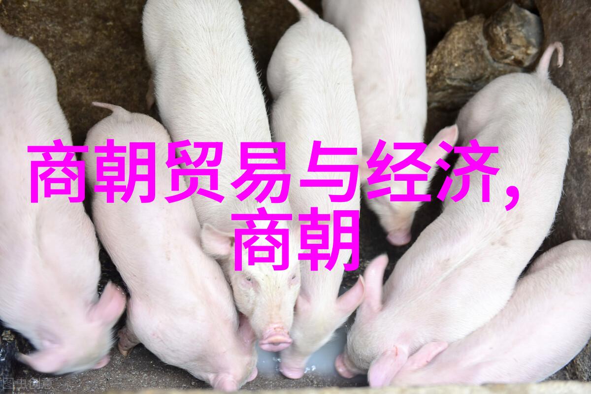 都市传说系列未增删带翻译樱花-城市里的神秘之花解密樱花的背后传说