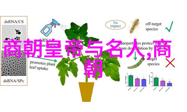 中国历史朝代发展历程中国古代至现代的朝代变迁