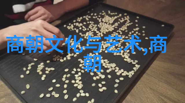 南宋风华江南沦亡的悲壮