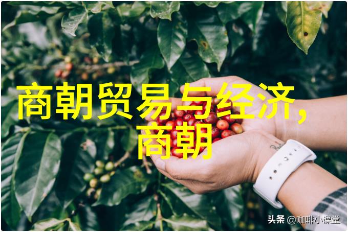 战国七雄的名将韩僖王的故事
