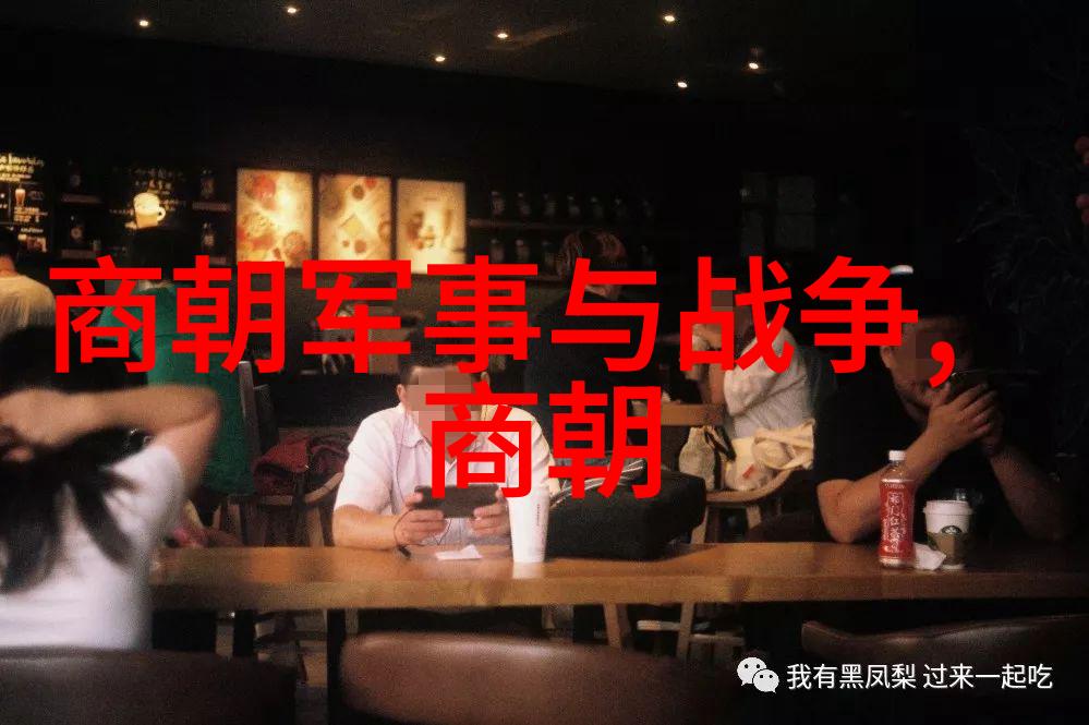 明朝的盛世与衰败历史的反思与启示