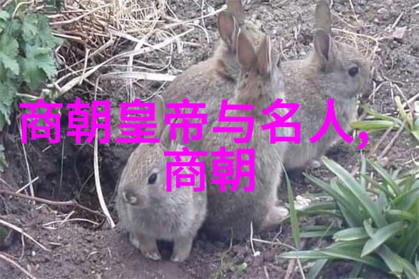 纪录片中国通史-揭秘古今中外一部全面阐释中国历史的纪实作品