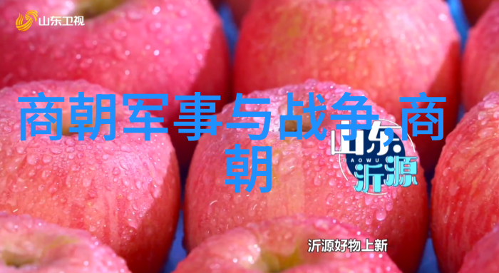 时间飞车回顾从秦至清历史朝代的辉煌与沉浮