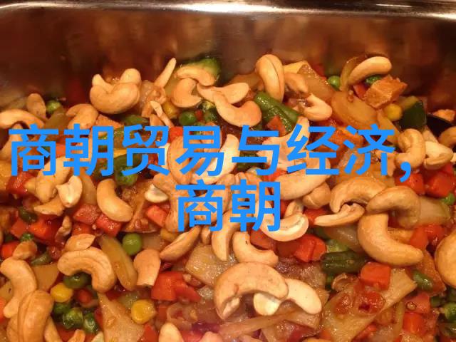 元朝征服之旅从蒙古帝国扩张到对外战争的全貌