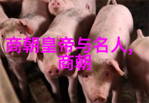 历史文化-探秘中国朝代年份从黄帝时期到清朝的千年变迁