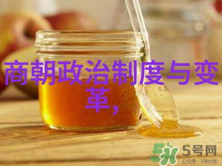李自成起义军的智星牛金星简介宛若中国历史文化朝代顺序表中璀璨的明珠