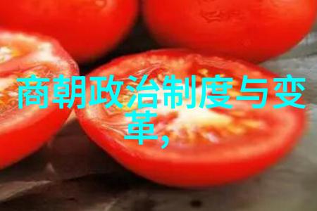 明朝覆灭的内在命运历史的悲剧与转折