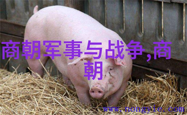 南明朝历代帝王顺序表-复兴的梦想南明朝历代帝王统治顺序探究