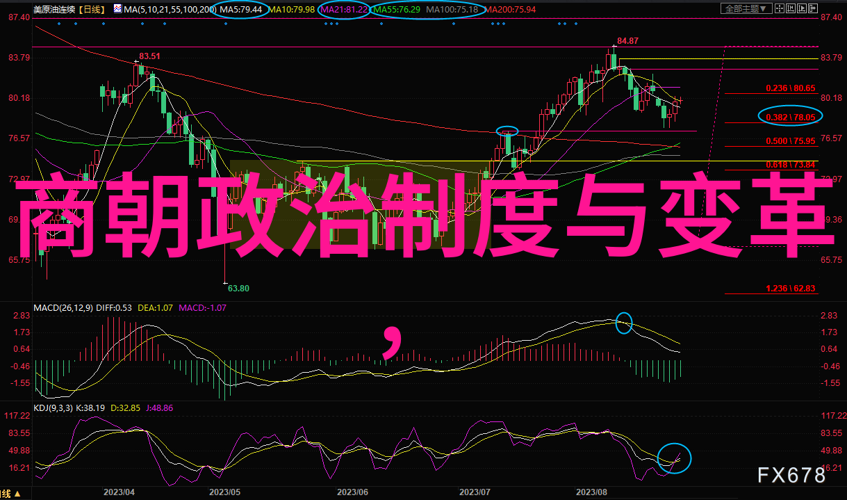 大明王朝历史疑云揭秘大明王朝的政治斗争与社会问题