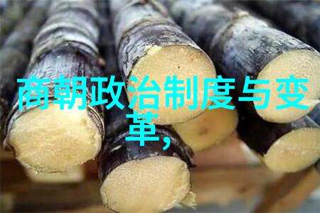 南明各朝皇帝简介及其治理成就