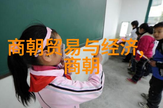明朝探索那被时光覆盖的辉煌与传奇