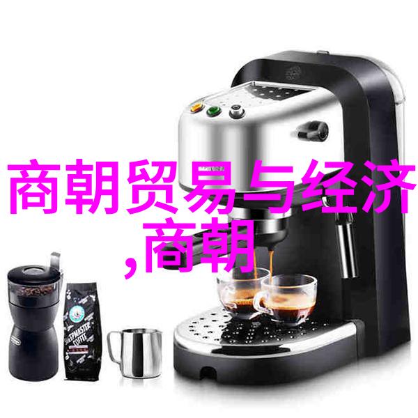 北朝权力交接之谜北周的禅让与杨坚的崛起
