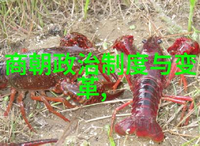 我国朝代的先后顺序从隋炀帝到清高宗一口气聊完中国历朝的全部