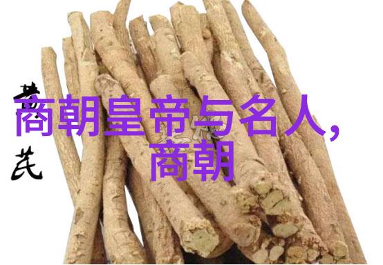 元朝废除制度革新剖析金帛役户籍制度与科举考试的变革