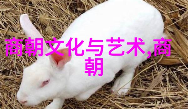 元朝末年的政治腐败现象有多严重又造成了什么后果