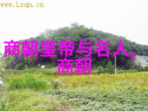 明朝盛世与欧洲战略揭秘为什么欧洲不敢轻易对抗中国古代的龙椅之国