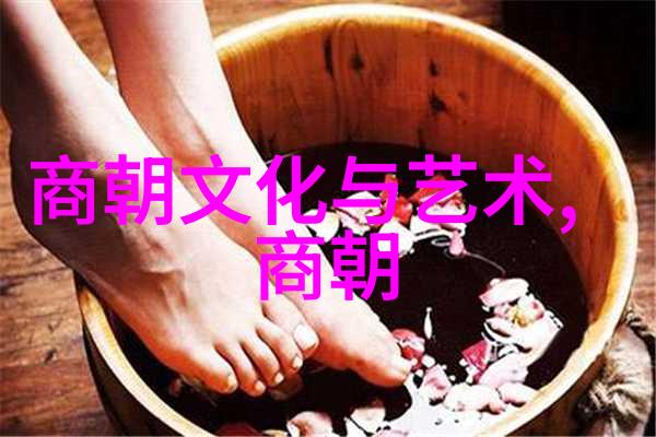 南宋大将孟珙对金国皇后的侮辱行径历史上的文化冲突与民族矛盾