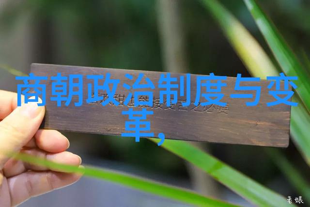 文明的衰败背后北宋文化艺术繁荣与社会问题的隐秘关联
