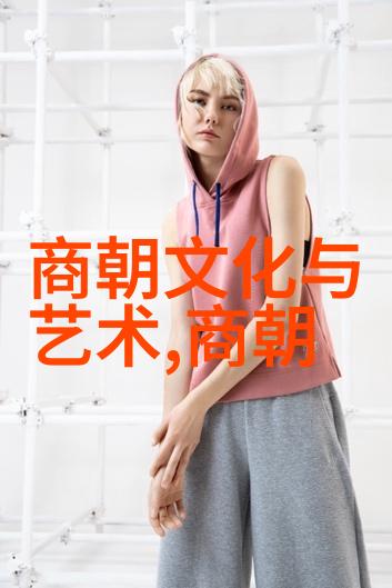明末天文奇案张居正与星象预言