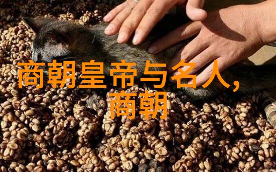 明朝大全的历史价值与研究意义