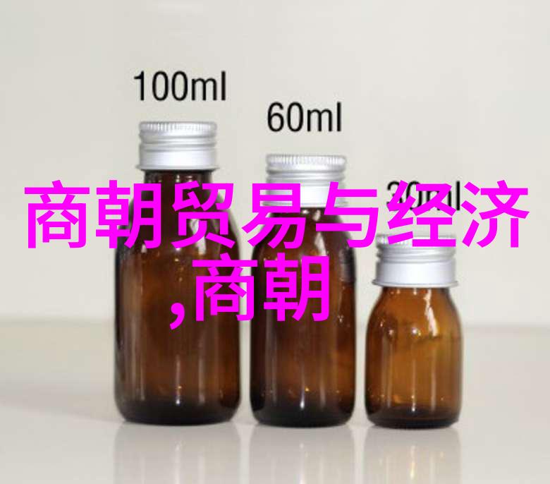 忽必烈征服南宋与开创元朝统治的辉煌历程