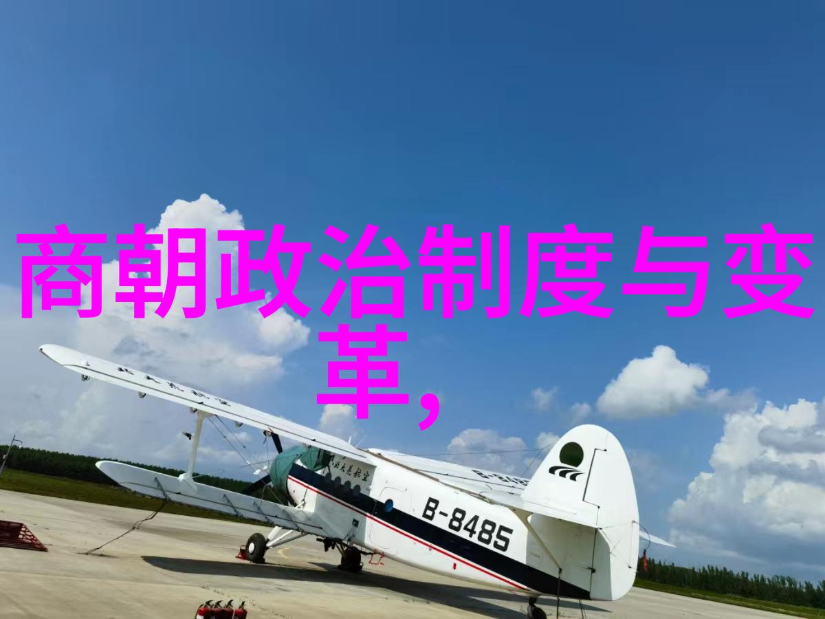 辉煌时光下的盛宴元朝饮食文化探秘
