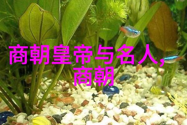 元朝覆灭的历史教训征服与衰亡的必然序列