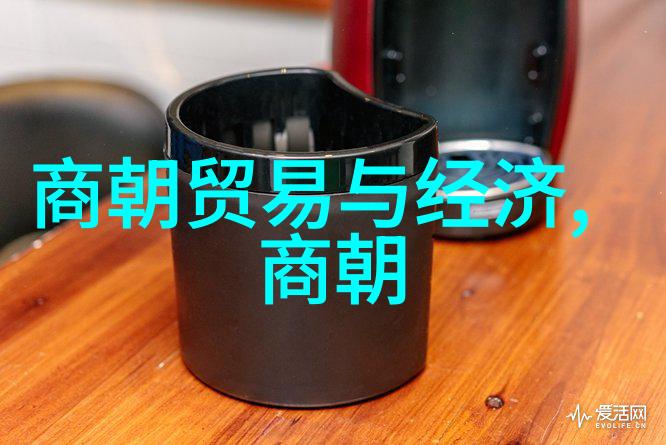 明朝历史很诡异-沉浮皇权揭秘明朝阴谋与奇迹