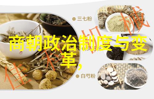 东汉兴盛东汉的繁荣与辉煌