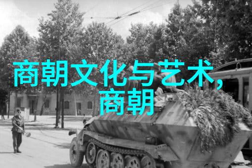 明朝风华从太平盛世到倭寇侵扰的反差篇