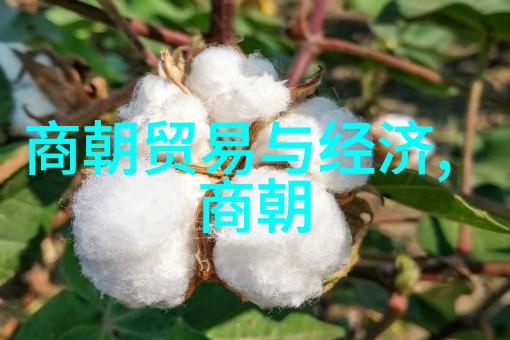 明朝风云传说揭秘历史小说中的真实面纱