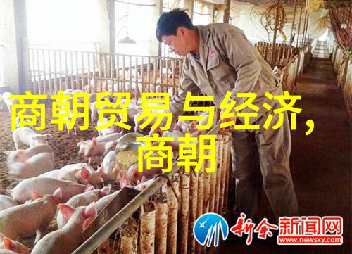 宋朝历史的辉煌与文化的深邃
