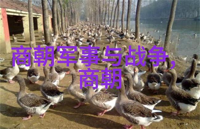 徐志远黄梅戏天仙配词的音乐工作者物品中的艺术灵魂