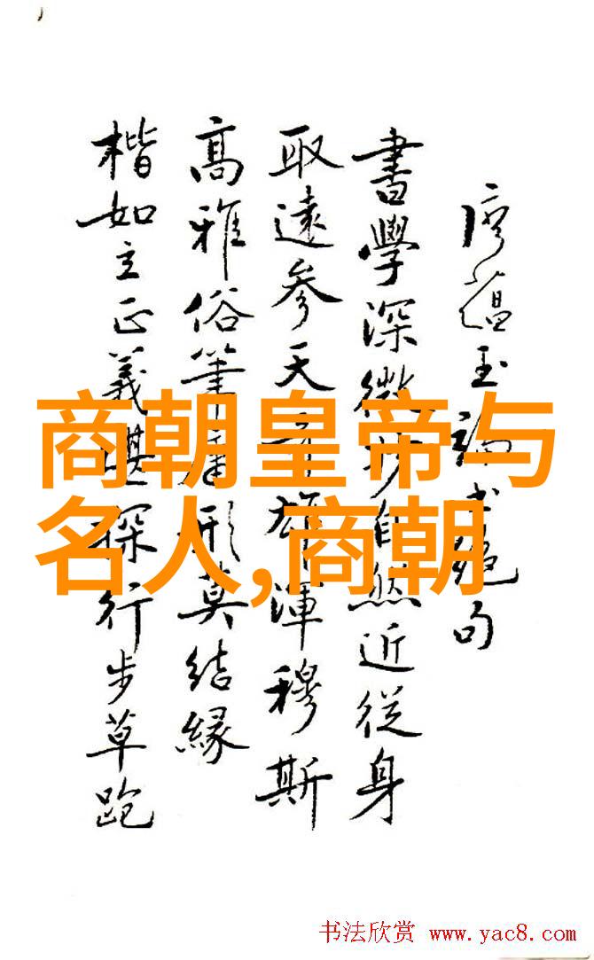 金朝佳肴一场穿越时空的味觉盛宴