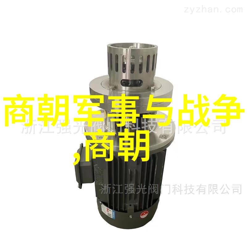 历史与文化探讨-披阅千年解析我国为什么不拍元朝电视剧